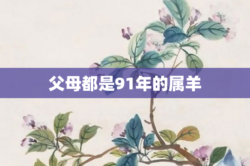 父母都是91年的属羊