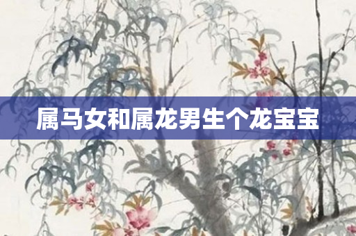 属马女和属龙男生个龙宝宝