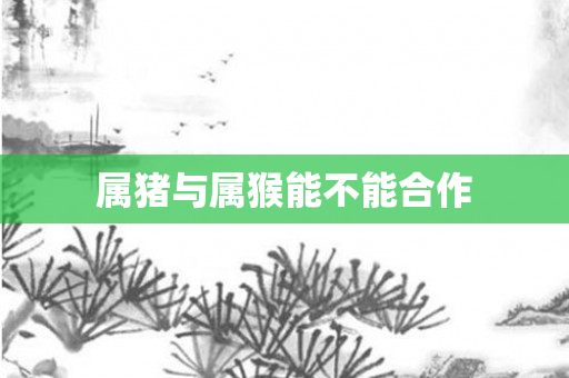 属猪与属猴能不能合作