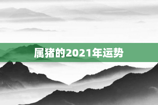 属猪的2021年运势