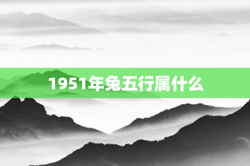 1951年兔五行属什么