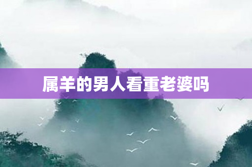属羊的男人看重老婆吗