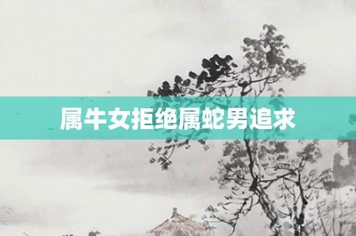 属牛女拒绝属蛇男追求
