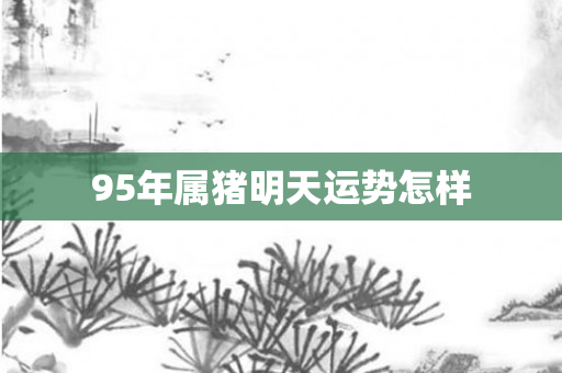 95年属猪明天运势怎样