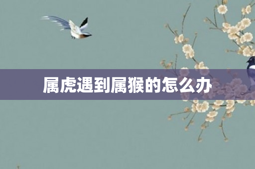 属虎遇到属猴的怎么办