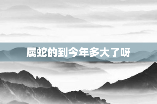 属蛇的到今年多大了呀