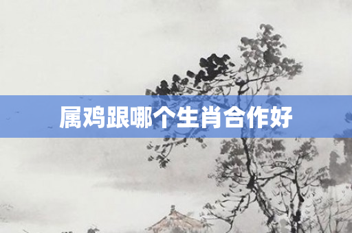 属鸡跟哪个生肖合作好