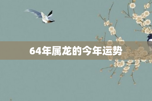 64年属龙的今年运势