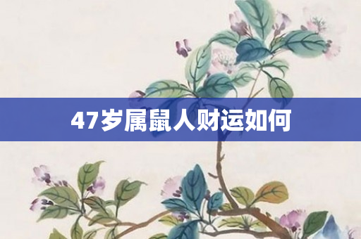 47岁属鼠人财运如何