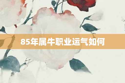85年属牛职业运气如何