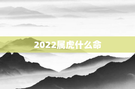 2022属虎什么命