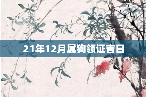 21年12月属狗领证吉日