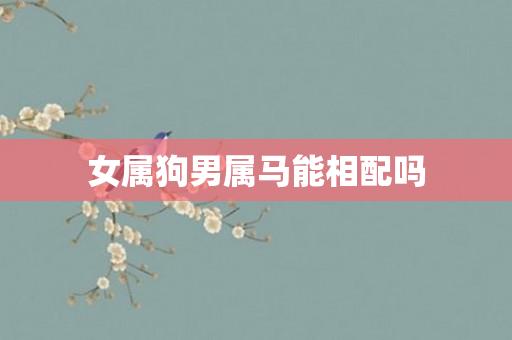 女属狗男属马能相配吗