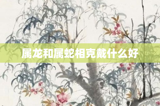 属龙和属蛇相克戴什么好
