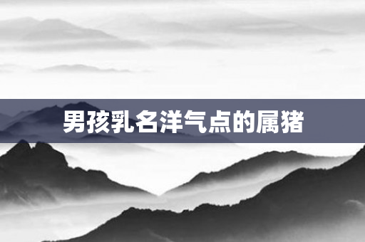 男孩乳名洋气点的属猪