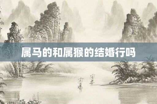 属马的和属猴的结婚行吗