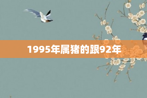 1995年属猪的跟92年