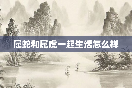 属蛇和属虎一起生活怎么样