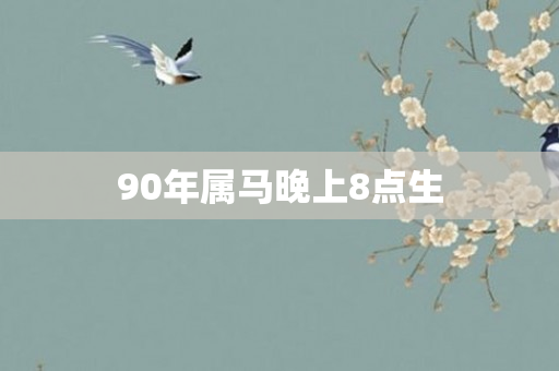 90年属马晚上8点生