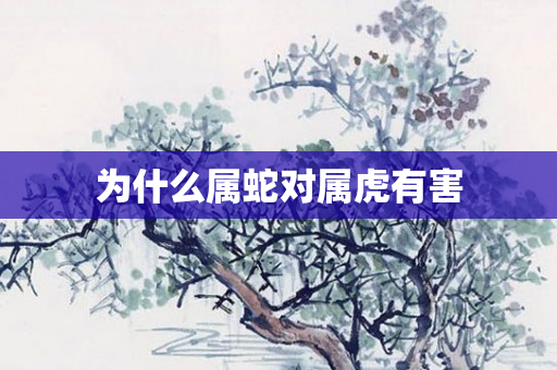 为什么属蛇对属虎有害