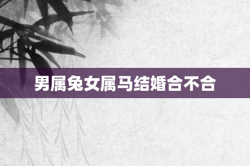 男属兔女属马结婚合不合
