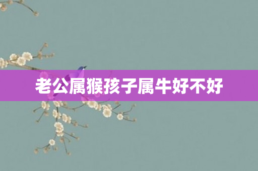 老公属猴孩子属牛好不好