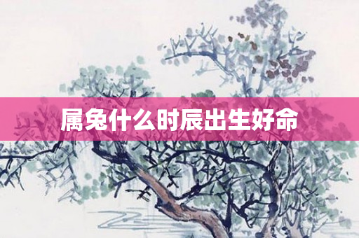 属兔什么时辰出生好命