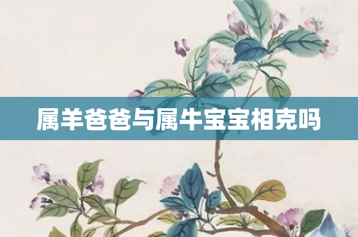 属羊爸爸与属牛宝宝相克吗