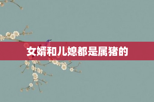 女婿和儿媳都是属猪的