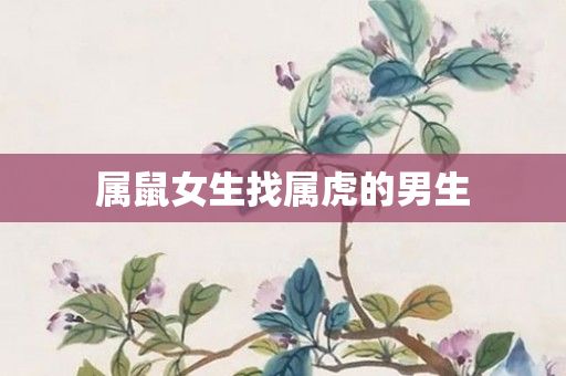 属鼠女生找属虎的男生