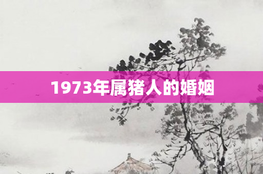 1973年属猪人的婚姻