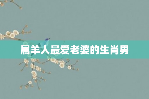 属羊人更爱老婆的生肖男