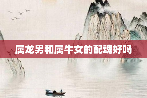 属龙男和属牛女的配魂好吗