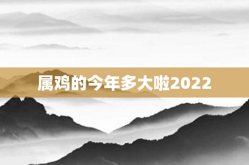 属鸡的今年多大啦2022