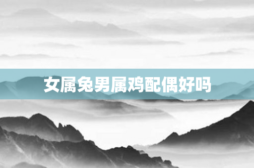 女属兔男属鸡配偶好吗