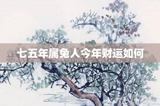 七五年属兔人今年财运如何