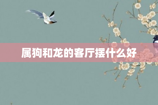 属狗和龙的客厅摆什么好