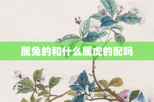 属兔的和什么属虎的配吗