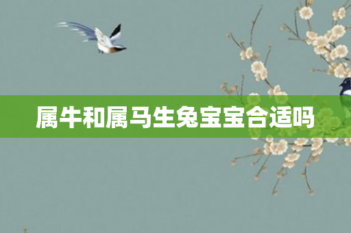 属牛和属马生兔宝宝合适吗