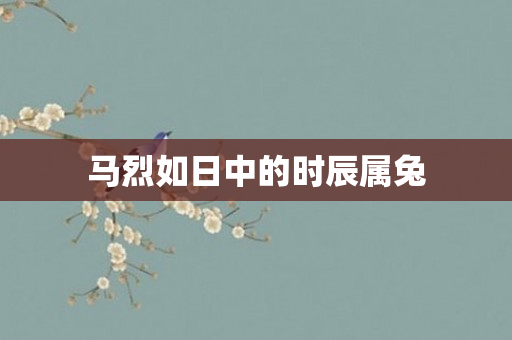 马烈如日中的时辰属兔