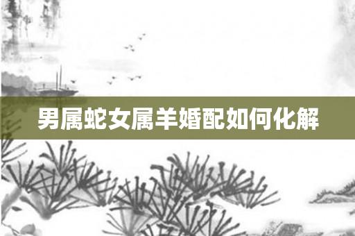 男属蛇女属羊婚配如何化解