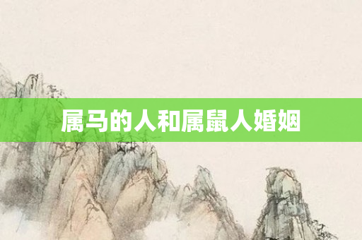 属马的人和属鼠人婚姻