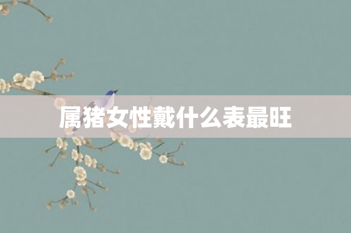 属猪女性戴什么表最旺