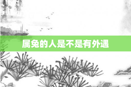 属兔的人是不是有外遇