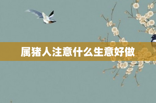 属猪人注意什么生意好做
