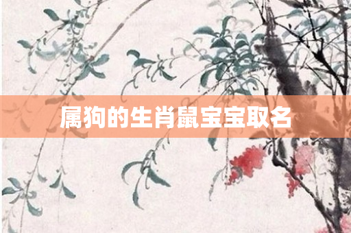 属狗的生肖鼠宝宝取名