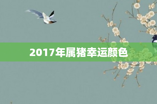 2017年属猪幸运颜色