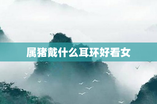 属猪戴什么耳环好看女