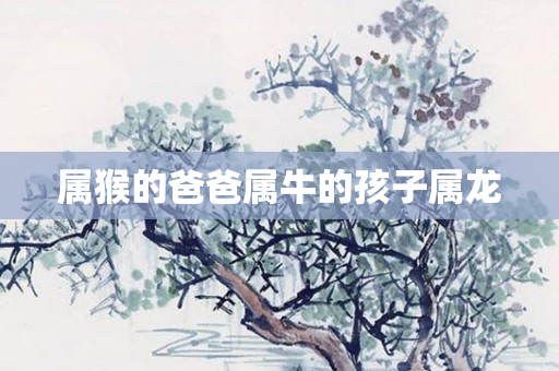 属猴的爸爸属牛的孩子属龙