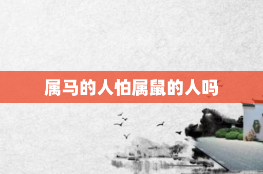 属马的人怕属鼠的人吗